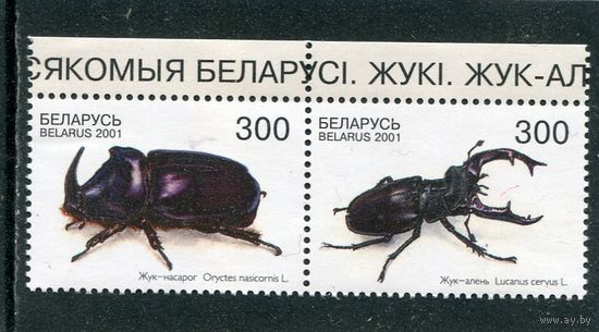 Беларусь 2001. Фауна. Жуки. Сцепка