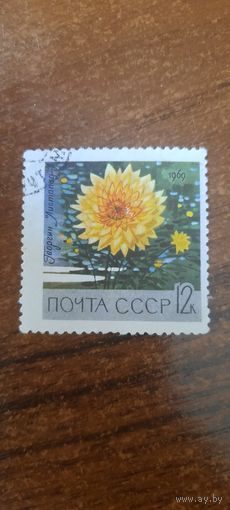 СССР 1969. Цветы. Георгин Листопад. Марка из серии