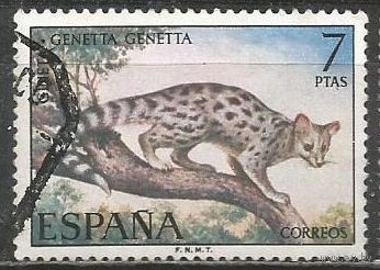 Испания. Дикая кошка. 1973г. Mi#2001.