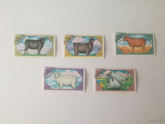 Монголия 1988. Козлы.