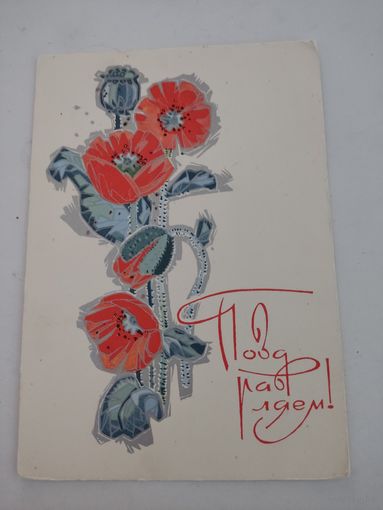 Почтовая карточка "Поздравляем!", художник И.Искринская, 1969г.