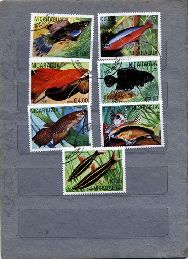 НИКАРАГУА, 1981,   РЫБЫ, серия 7м, гашен