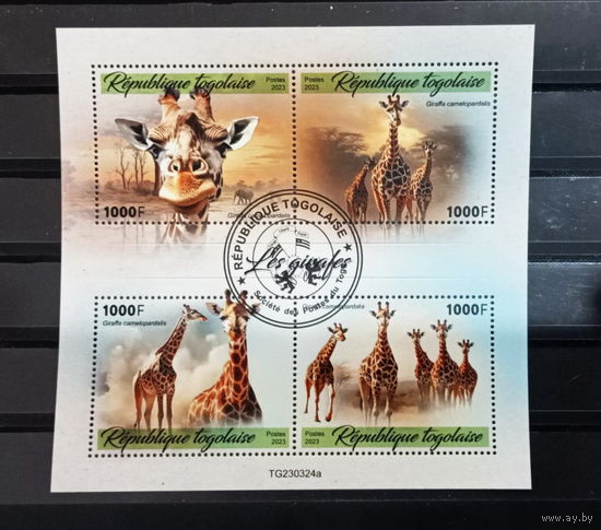 ЛИСТ ФАУНА жирафы  СТО