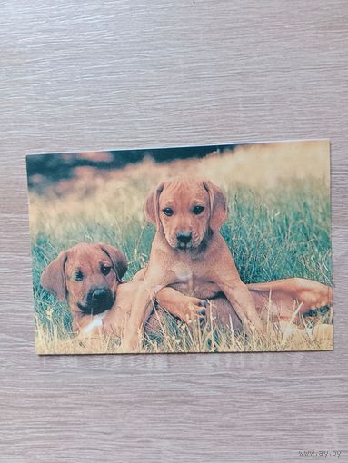 Календарик 1993