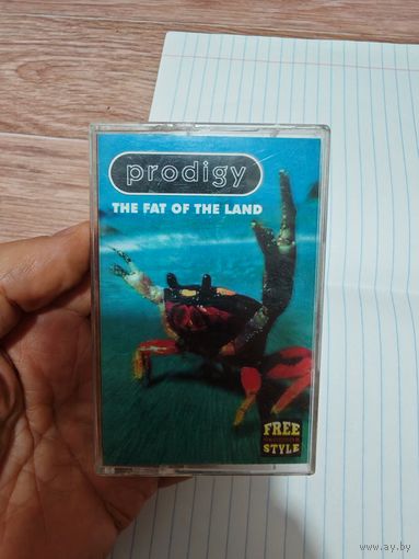 Prodigy Аудиокассета