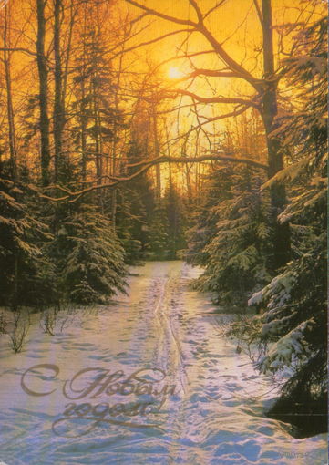 Чистая открытка 1985г. "С Новым годом! Зимний лес" фото Г. Костенко