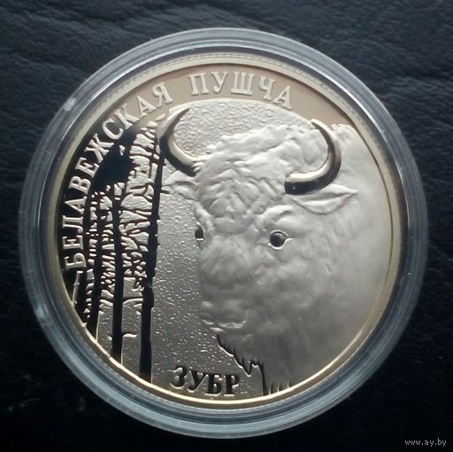 Зубр 2001