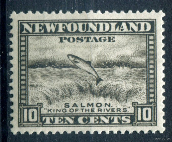 Британские колонии - Ньюфаундленд - 1932/41г. - лосось, перфорация 13 1/2, 10 с - 1 марка - MNH с пузырьками на клее [Mi 178 A]. #3-WB-96-A-1