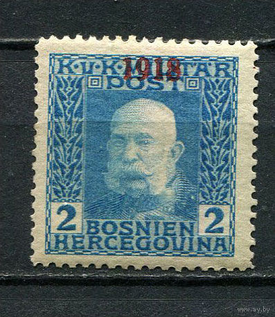Босния и Герцеговина (Австро-венгерская администрация) - 1918 - Император Франц Иосиф I 1Н с надпечаткой 1918 - [Mi.148] - 1 марка. MH.  (Лот 14JC)-TG3P59