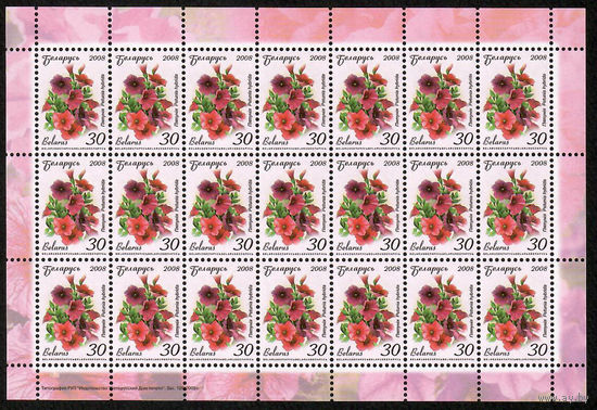 Беларусь. 2008. Стандарт.  Петуния (30р) (з.129-2009) Лист