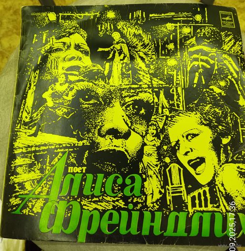 Пластинка .Поет Алиса Фрейндлих.