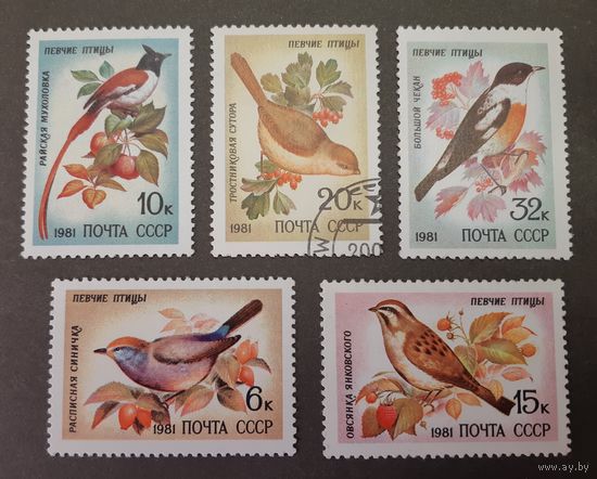 Распродажа с 1 рубля! Фауна. СССР. 1981 год. Певчие птицы (4 чистые марки, 1 гашеная)