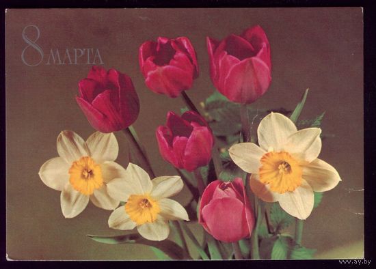 1982 год Б.Круцко 8 марта