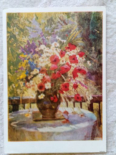 1957. Цветкова. Полевые цветы