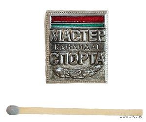 Кандидат в мастера спорта Беларуси