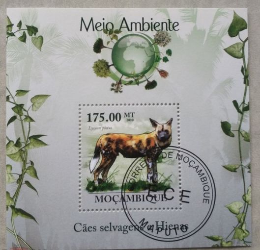 ЛИСТ ФАУНА животные  СТО