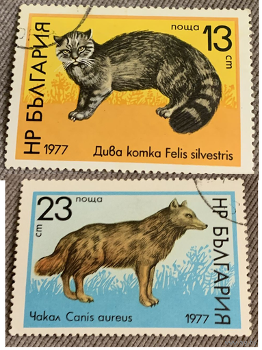Болгария 1977. Фауна. КОШКАи Волк Марки из серии