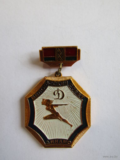 Знак. Значок. Спортивное Общество "Динамо". "Белорусский совет". Спорт. Ретро СССР.