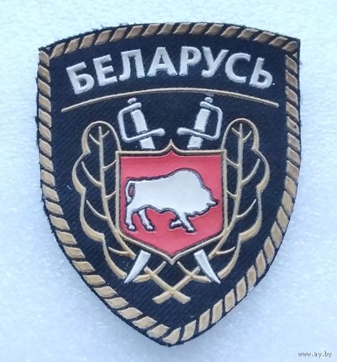 Беларусь. МВД РБ. Милиция Республики Беларусь. Старый образец. (2)