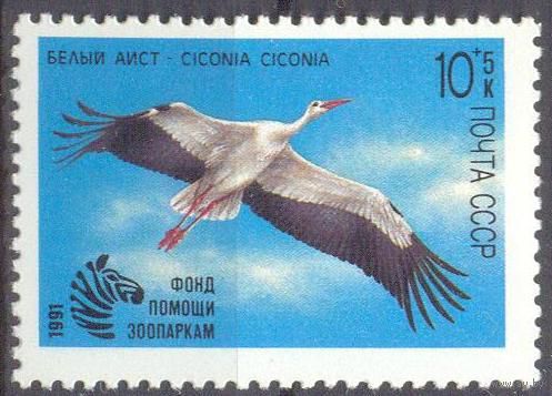 Аист зоопарк