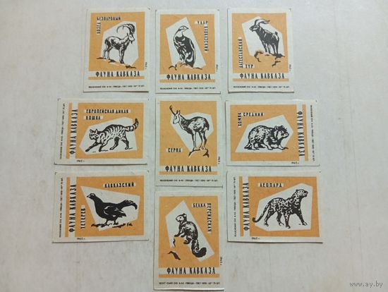 Спичечные этикетки ф.Победа. Фауна Кавказа. 1962 год