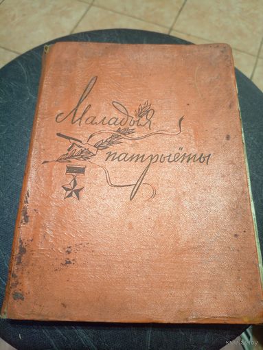 Маладыя патрыеты\13д