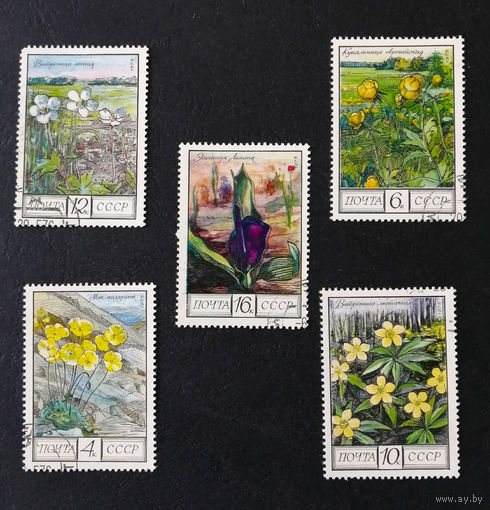 СССР 1975 г. Цветы Кавказа. Флора, полная серия из 5 марок #0093-Ф1P20