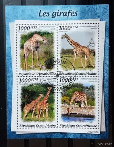ЛИСТ ФАУНА жирафы  СТО