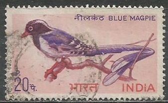 Индия. Толстоклювая сорока. 1968г. Mi#464.