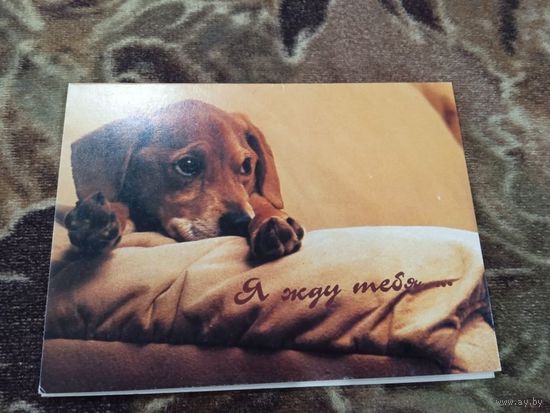 Я жду тебя. Адкрытае пiсьмо. Двойная. Чистая.