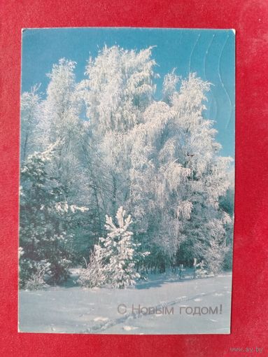 С новым годом! Подписанная. 1990 года. Фото Дорожинского.  1504.