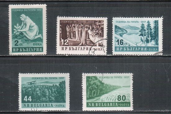 Болгария-1957, (Мих.1035-1039) , гаш. , Охрана леса(полная серия)