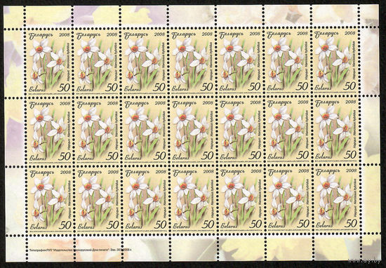 Беларусь. 2008. Стандарт.  Нарцисс (50р) (з.367-2008) Лист