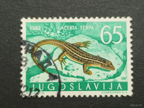 Югославия 1962. Земноводные и рептилии