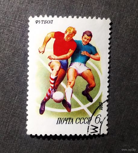 Марка СССР 1981 год  Спорт в СССР