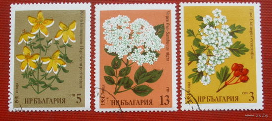 Болгария. Цветы. ( 3 марки ) 1981 года. 7-7.