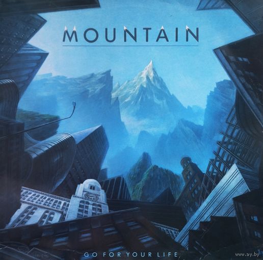 Mountain / Go For Your Life/1985,WB, LP,EX, Germany