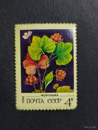 1982 СССР. Дикие ягоды. Морошка обыкновенная