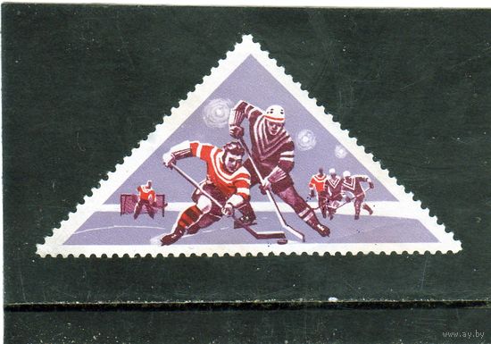 СССР. Mi:SU 3194. Хоккей. IIзимняя спартакиада народов СССР. 1966.