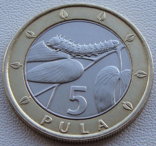Ботсвана. 5 пул 2007 год KM#30 "Гусеница Мопане"