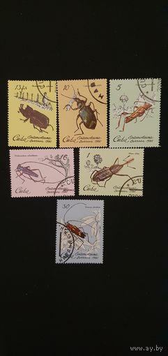 Куба жуки 6шт