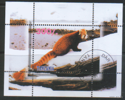 Танзания. БЛОК. 1998. Енот. ГаШ.
