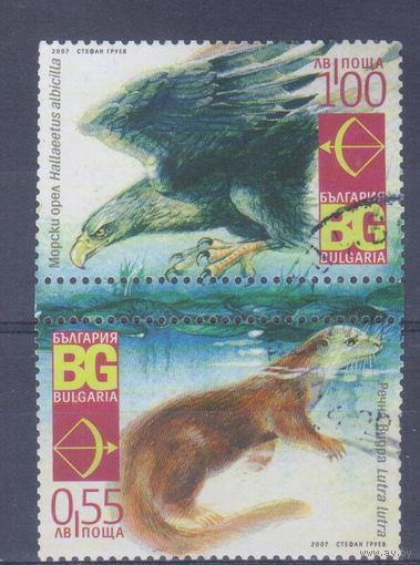[2115] Болгария 2007. Фауна.Орел.Выдра. Гашеная серия в сцепке.