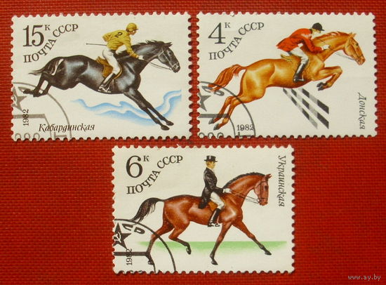 СССР. Коневодство в СССР. ( 3 марки ) 1982 года. 3-14.