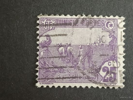 Тунис 1921. Сельское хозяйство