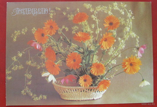Поздравляю! Чистая. 1984 года. Толмачев. 1717.