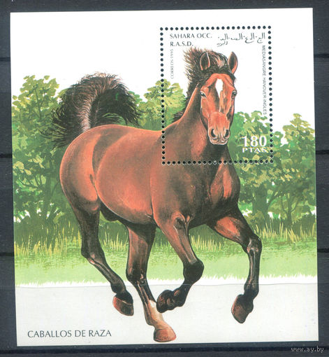 Западная Сахара - 1995г. - Лошади (1) - 1 блок - полная серия, MNH. #O-Se-Z-2-45