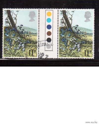 Великобритания-1979 (Мих.787) ,  гаш.  , Флора, Цветы