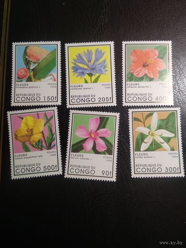 Конго 1996г.