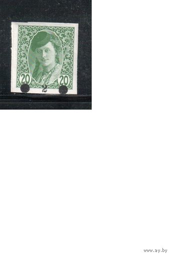 Югославия(Босния)-1919(Мих.29) * , Стандарт, Личности , Надп.